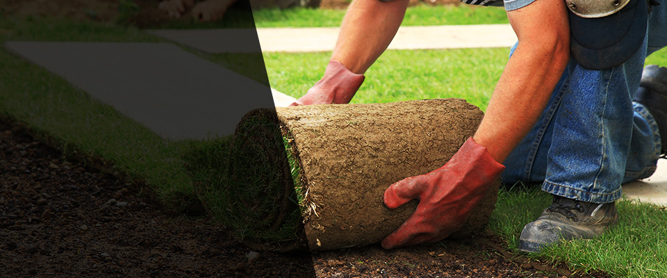 Fairfield Landscapers